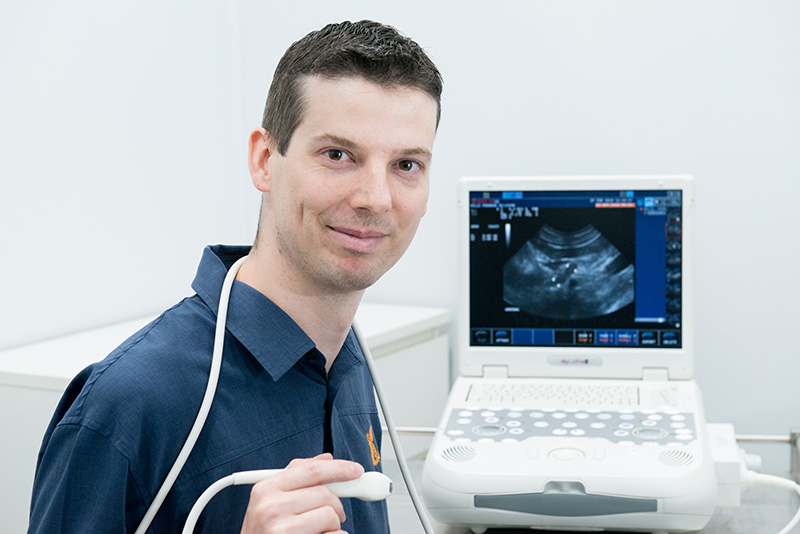 Pet Ultrasound Services at Stephen Terrace Veterinary Clinic