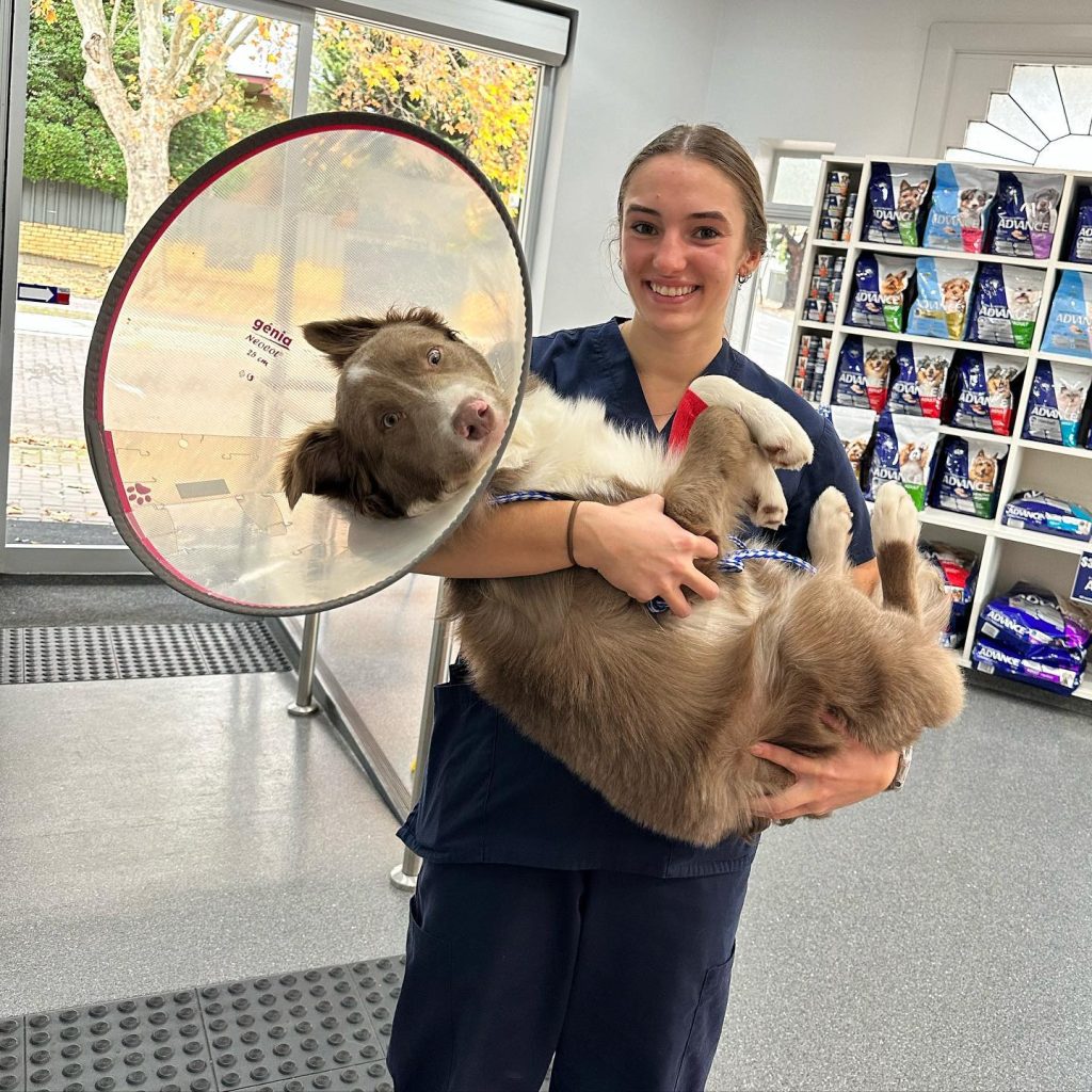 STV-Shania comforting patient