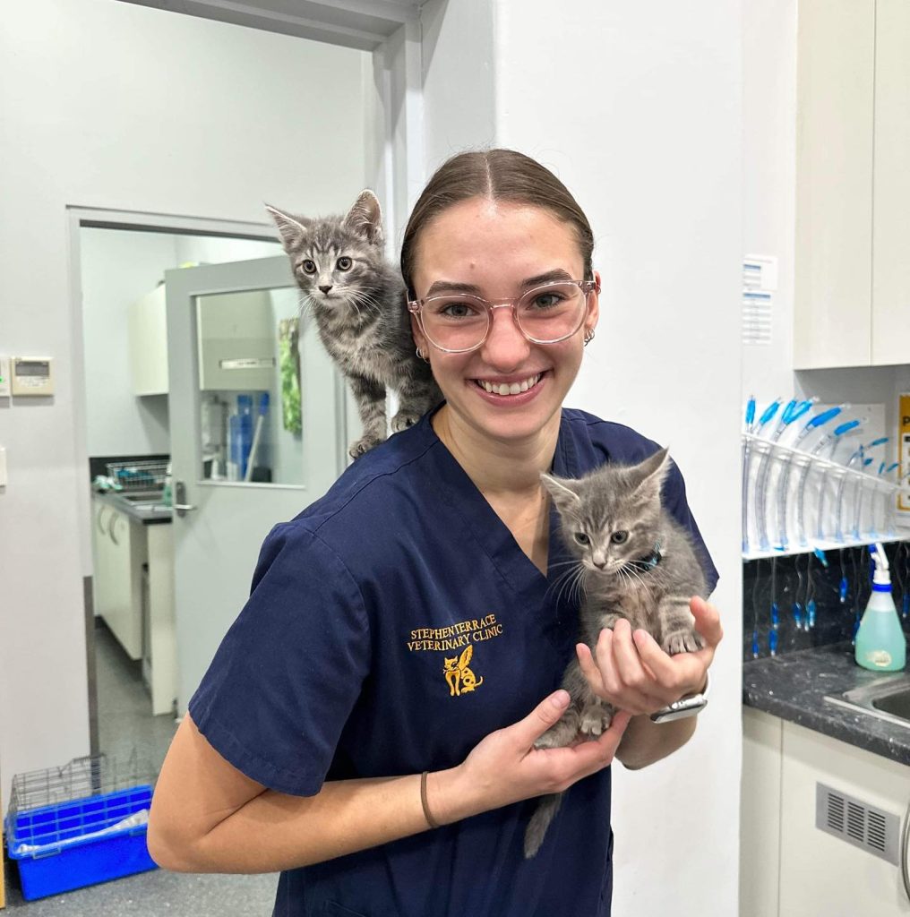 STV-Nurse Shania holding kittens