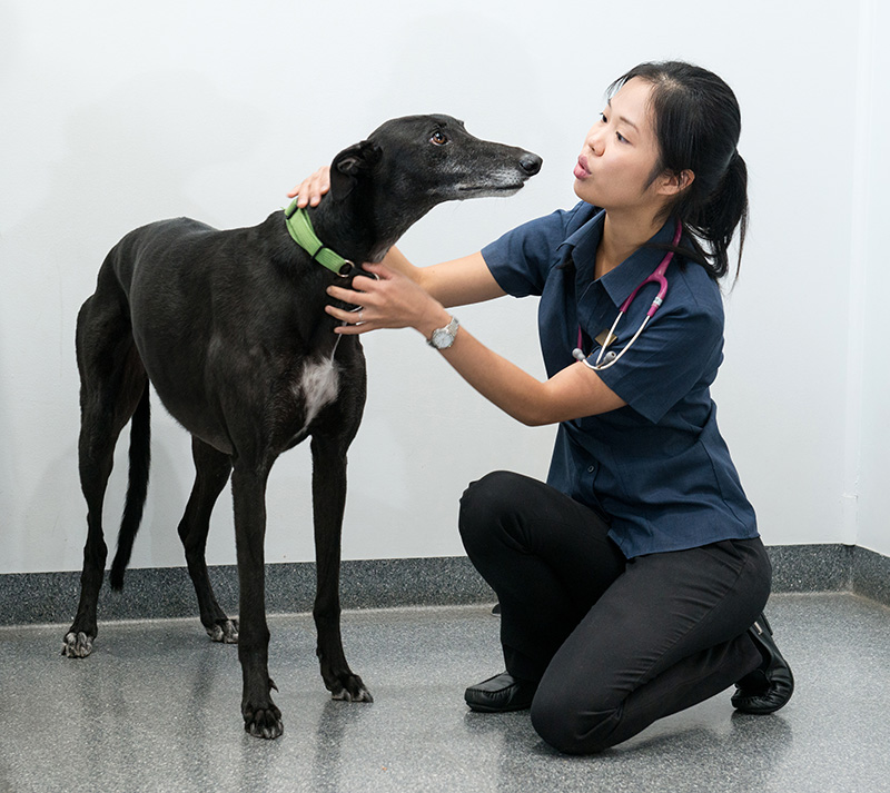 STV-Dr Lara with patient